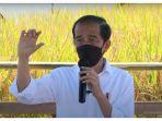 jokowi-tinjau-panen-padi.jpg