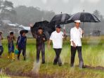 jokowi-tinjau-sektor-pertanian-di-sumbar_20180208_212822.jpg