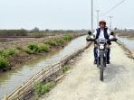 jokowi-tinjau-tambak-udang-dan-hutan-bakau-di-muara-gembong_20171101_221456.jpg