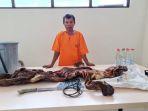jual-beli-kulit-harimau-kuansing.jpg