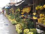 jual-pisang_20150107_211232.jpg