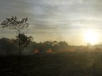jumlah-titik-panas-meningkat-di-riau_20160816_001919.jpg