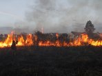 jumlah-titik-panas-meningkat-di-riau_20160816_001932.jpg