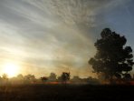 jumlah-titik-panas-meningkat-di-riau_20160816_002120.jpg