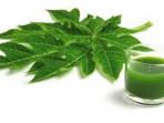 jus-daun-paya_20150213_144527.jpg