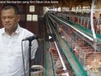 kabar-baru-gatot-nurmantyo-yang-kini-sibuk-urus-ayam-petelurnya_20180118_121729.jpg