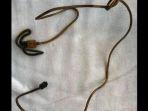 kabel-charger-ponsel-1232.jpg