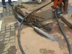 kabel-dan-lele-nih2_20160305_124619.jpg
