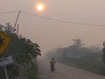 kabut-asap-akibat-karhutla-di-bengkalis.jpg