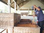 Harga Kakao Melambung Bikin Harga Cokelat Ikut Naik