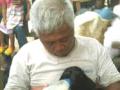 kambing-etawa-berkepala-dua-milik-supar-58.jpg