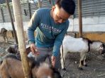 kambing-kurban_20180812_184301.jpg