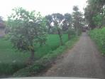 kampung-cinta_subang_20150203_20150203_085627.jpg