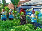 kampung-gizi-cahaya.jpg