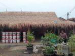 kampung-pink111.jpg