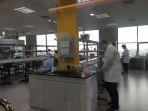 kampus-indonesia-international-institute-for-life-science.jpg