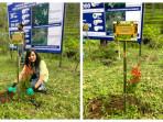 Dukung SDGs, Perusahaan Digital Astra Ajak IPB Kembangkan Perhutanan Sosial di Garut