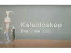 kanal-bea-cukai-tv-kleidoskop.jpg