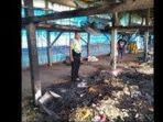 kandang-ayam-terbakar_2.jpg
