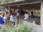 kandang-babi_20160802_133523.jpg<pf>bayi_20160802_133648.jpg