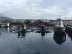 kapal-ikan_20151130_180834.jpg