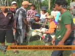 karapan-kambing-di-lumajang_20161025_171932.jpg