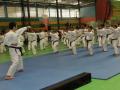 karateka-tni-nih2.jpg