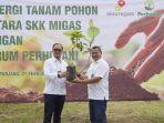 karbon-bibit-pohon-875.jpg