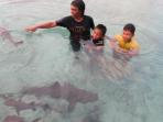 karimunjawa-ikan-hiu-berenang-traveling_20141112_170812.jpg