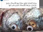 kasus-ikan-bermata-boneka_20180905_200844.jpg