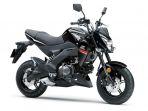 kawasaki-ninja-250-dan-z125-bakal-akan-rilis-warna-baru-januari-2019-mendatang.jpg