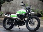 kawasaki-w175-dd.jpg