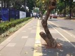 kawasan-gelora-bung-karno-belum-ramah-disabilitas_20181008_190531.jpg
