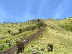 kawasan-sabana-di-gunung-merbabu_20180404_191846.jpg