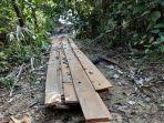 kayu-diduga-illegal-logging.jpg