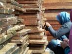 kayu-ilegal-jambi_20160407_101719.jpg