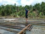 kayu-ilegal_20180424_170643.jpg