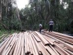 kayu-ilog_20170203_215421.jpg