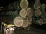 kayu-ilog_20170517_114302.jpg