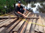kayu-olahan-tak-bertuan-diamankan_20170217_082139.jpg