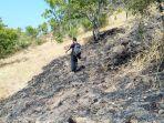 kebakaran-di-bukit-pulaki-buleleng.jpg