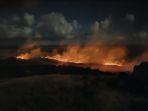 kebakaran-hawaii-23.jpg