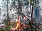 kebakaran-hutan-cagar-alam-tangkoko-duasudara_20150924_080505.jpg