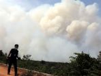 kebakaran-hutan-dan-lahan-di-mempawah-capai-470-hektare_20190811_025050.jpg
