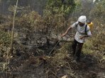 kebakaran-hutan-dan-lahan-di-riau_20160315_204148.jpg
