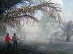 kebakaran-hutan-dan-lahan-karhutla-di-tanjab-barat.jpg