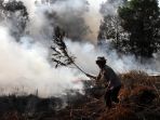 kebakaran-hutan-dan-lahan-kembali-terjadi-di-pekanbaru_20200227_173149.jpg