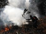 kebakaran-hutan-dan-lahan-kembali-terjadi-di-pekanbaru_20200227_173155.jpg