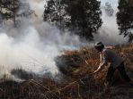 Plang Larangan Beraktivitas Dipasang di Area Karhutla Riau, Gubernur Tegaskan Ancaman Nyata