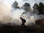 kebakaran-hutan-dan-lahan-kembali-terjadi-di-pekanbaru_20200227_173243.jpg